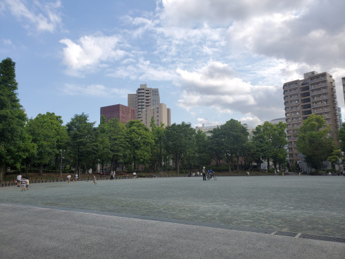 HP教育の森自由広場.jpg