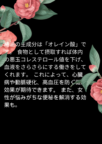 椿油の効果効能.PNG