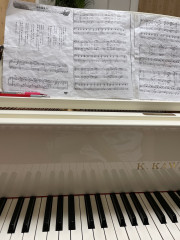 IMG_3996.jpeg