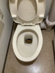 まるごと　トイレ　ビフォー.jpg