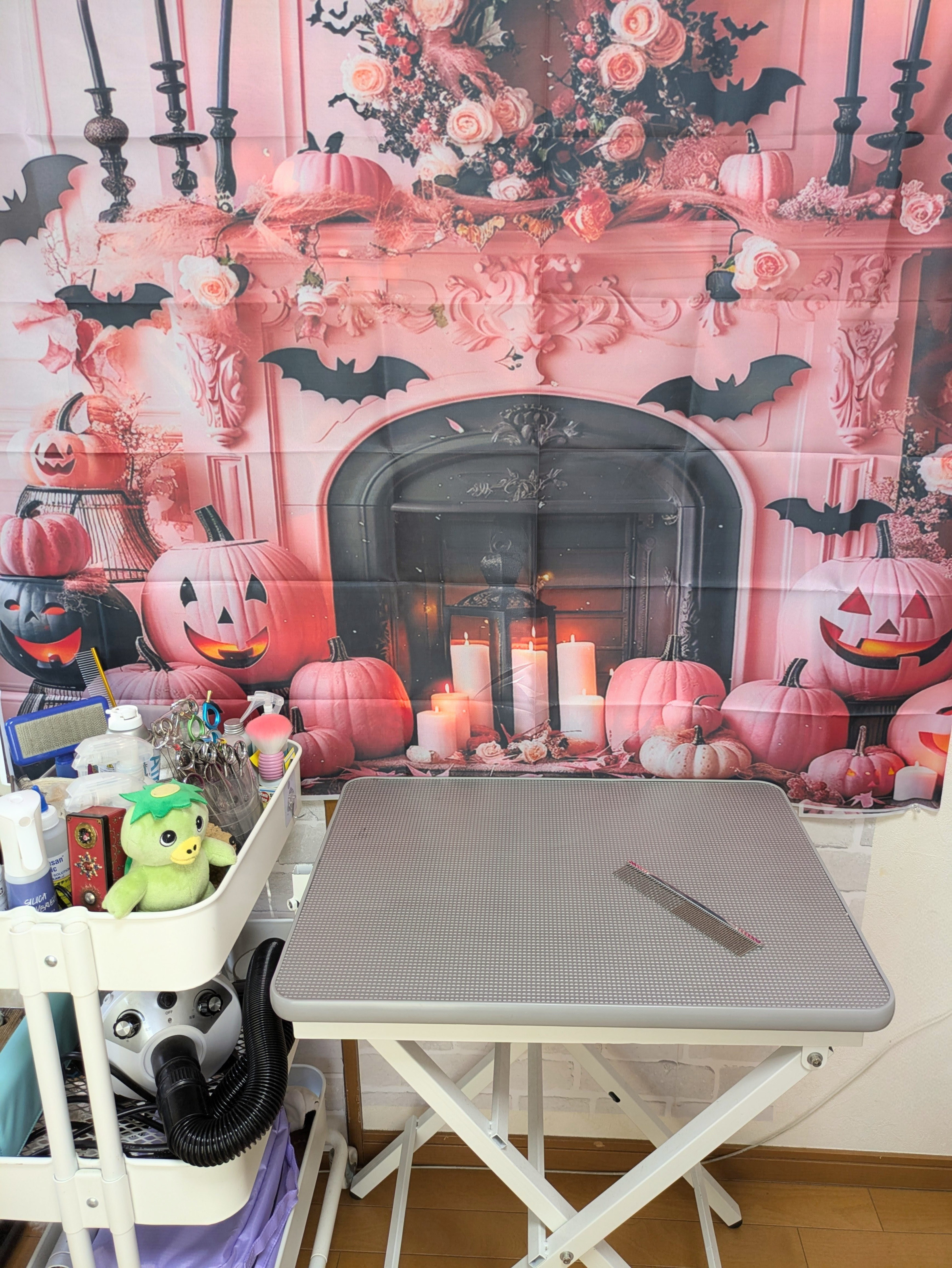 10月の背景はハロウィンです。トリミング後、ご希望の方にはワンちゃんの写真撮影をして無料でデータを差し上げています。