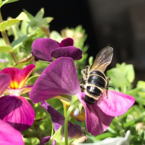 EDC0E29F-9776-45E9-B8A9-9FB8E5BE0255 (002).JPG