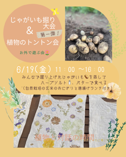 じゃがいも🥔掘り大会 (002).PNG