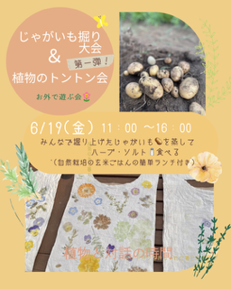野菜収穫の会.PNG
