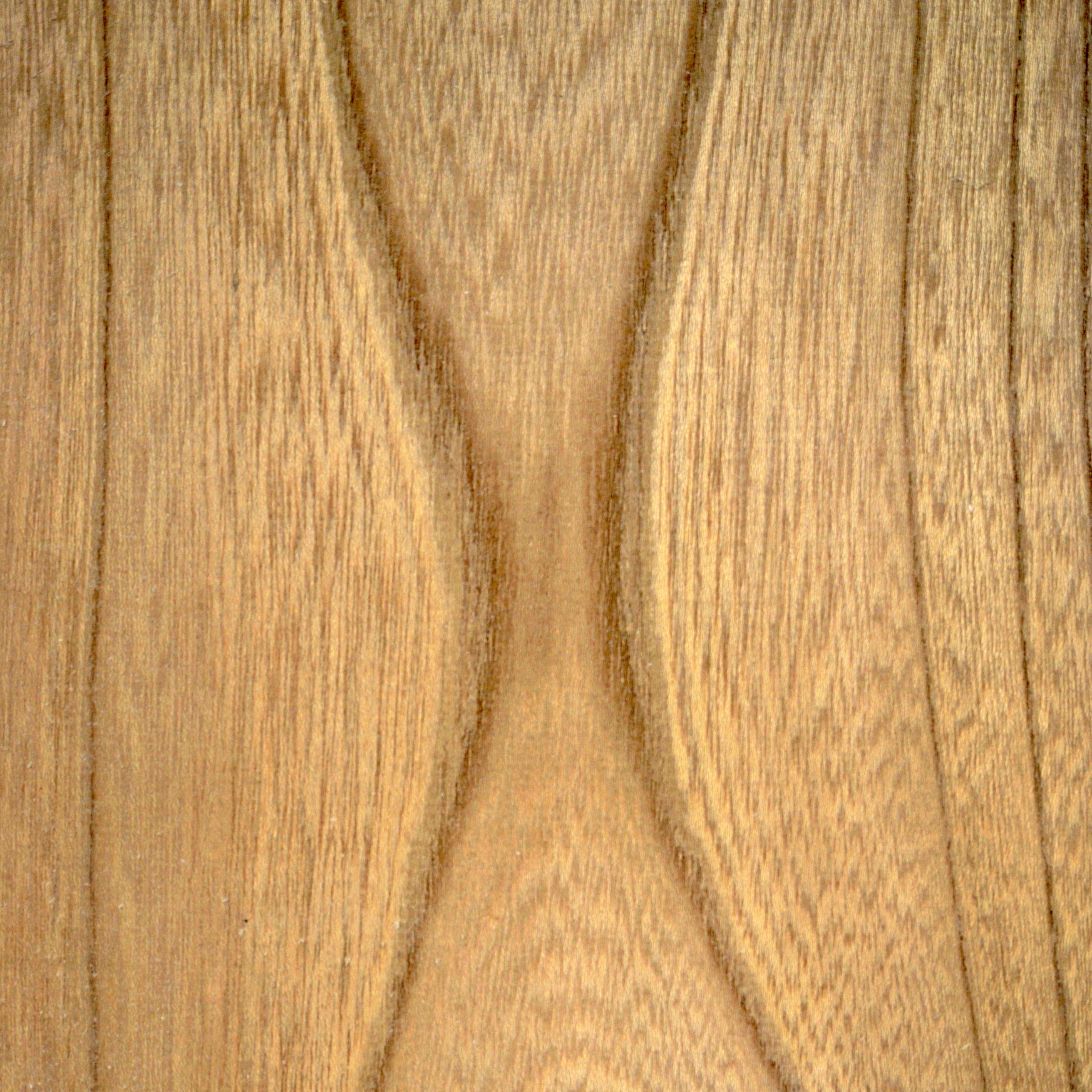 Keyaki &mdash; Japanese zelkova wood grain