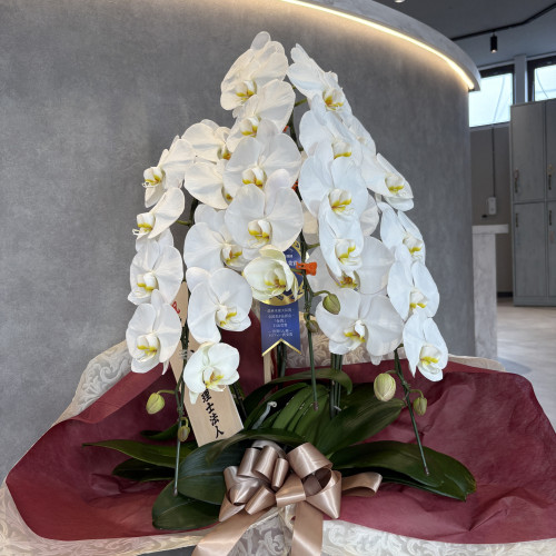 ライトハウス税理士法人様