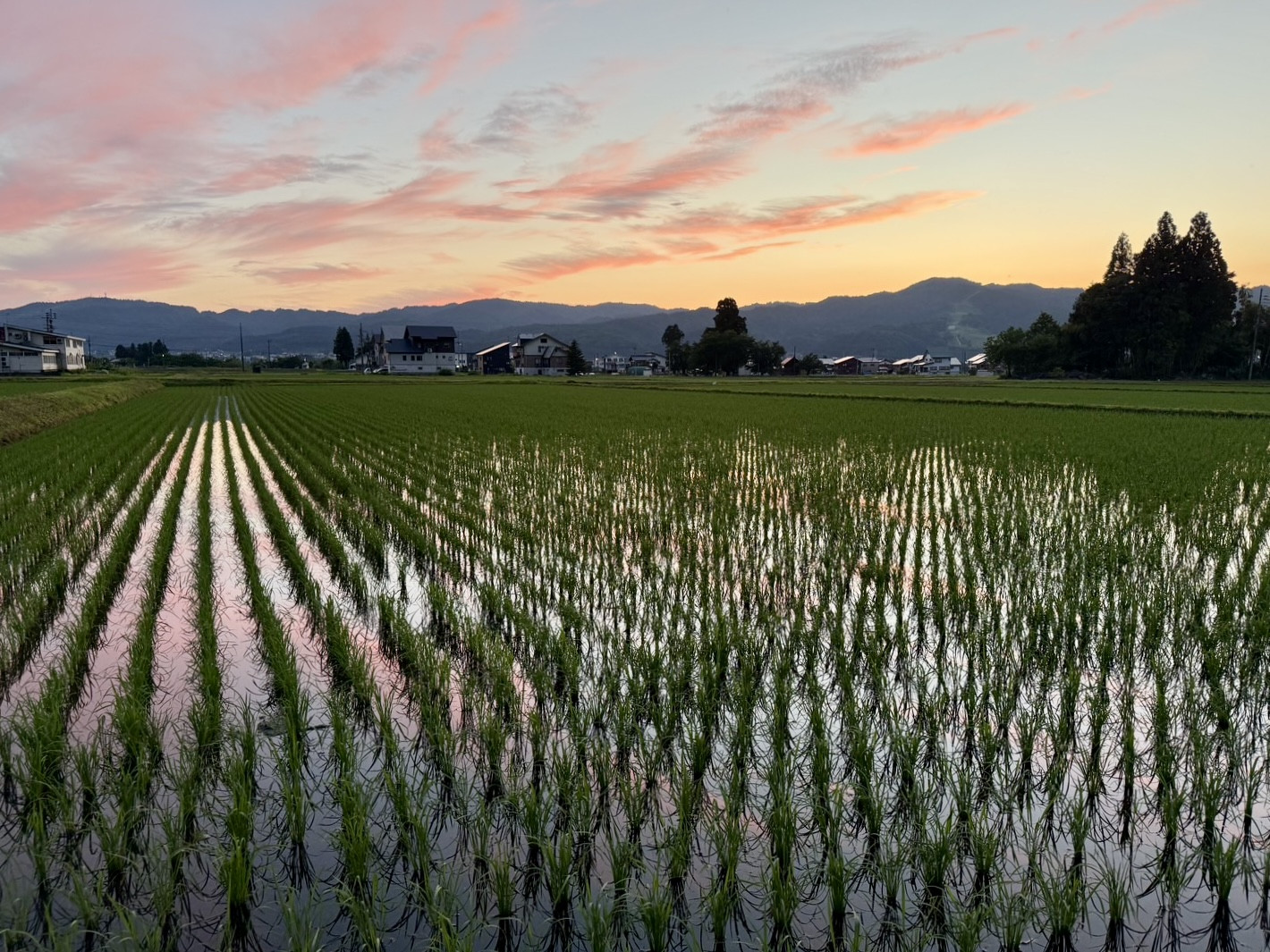 6月のカフェ営業のお知らせ