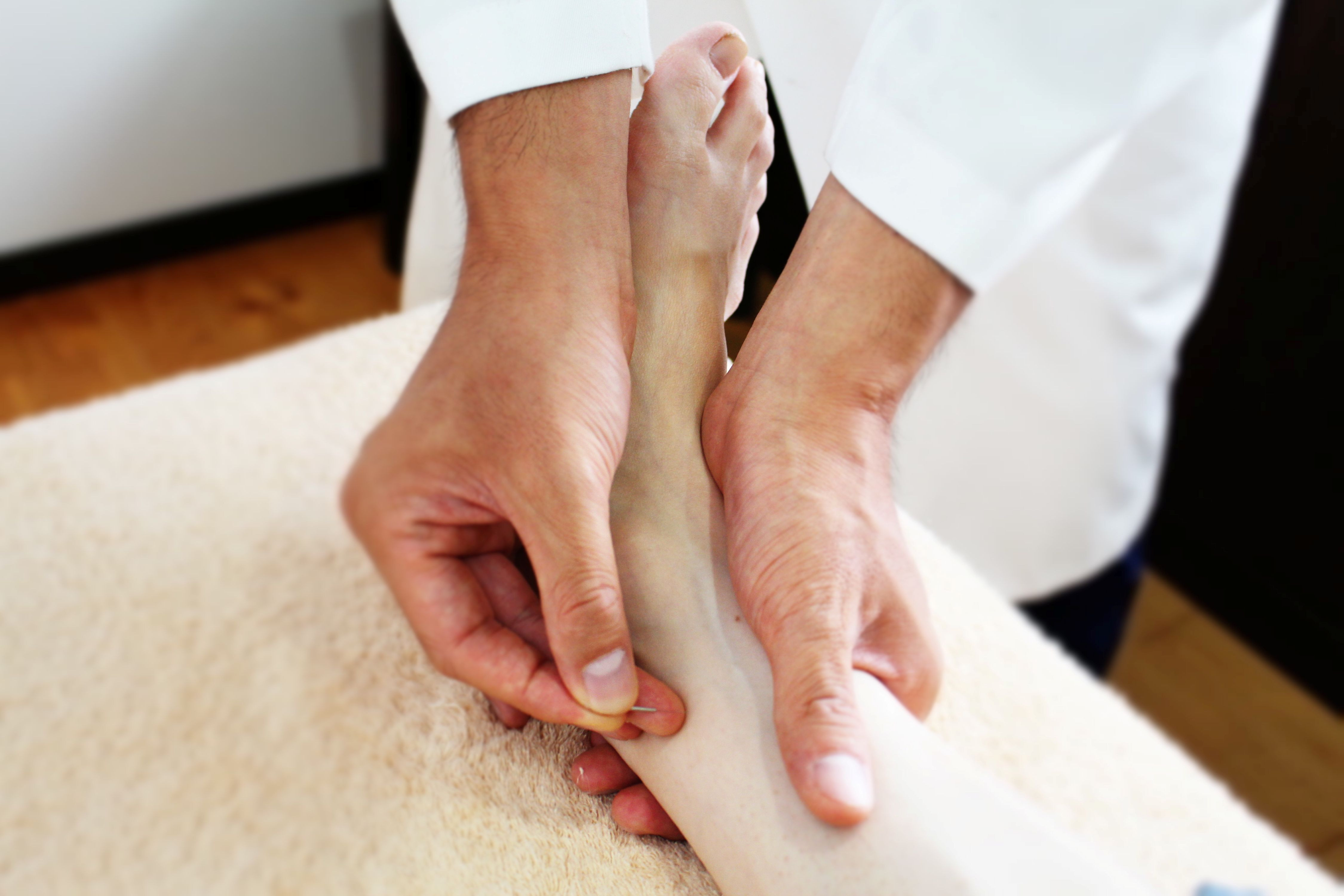 北辰会について - 一般社団法人北辰会−伝統鍼灸の学術団体−