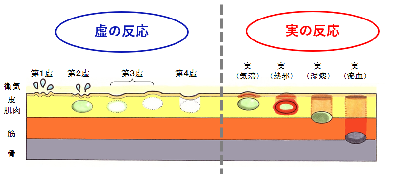 北辰会について - 一般社団法人北辰会−伝統鍼灸の学術団体−