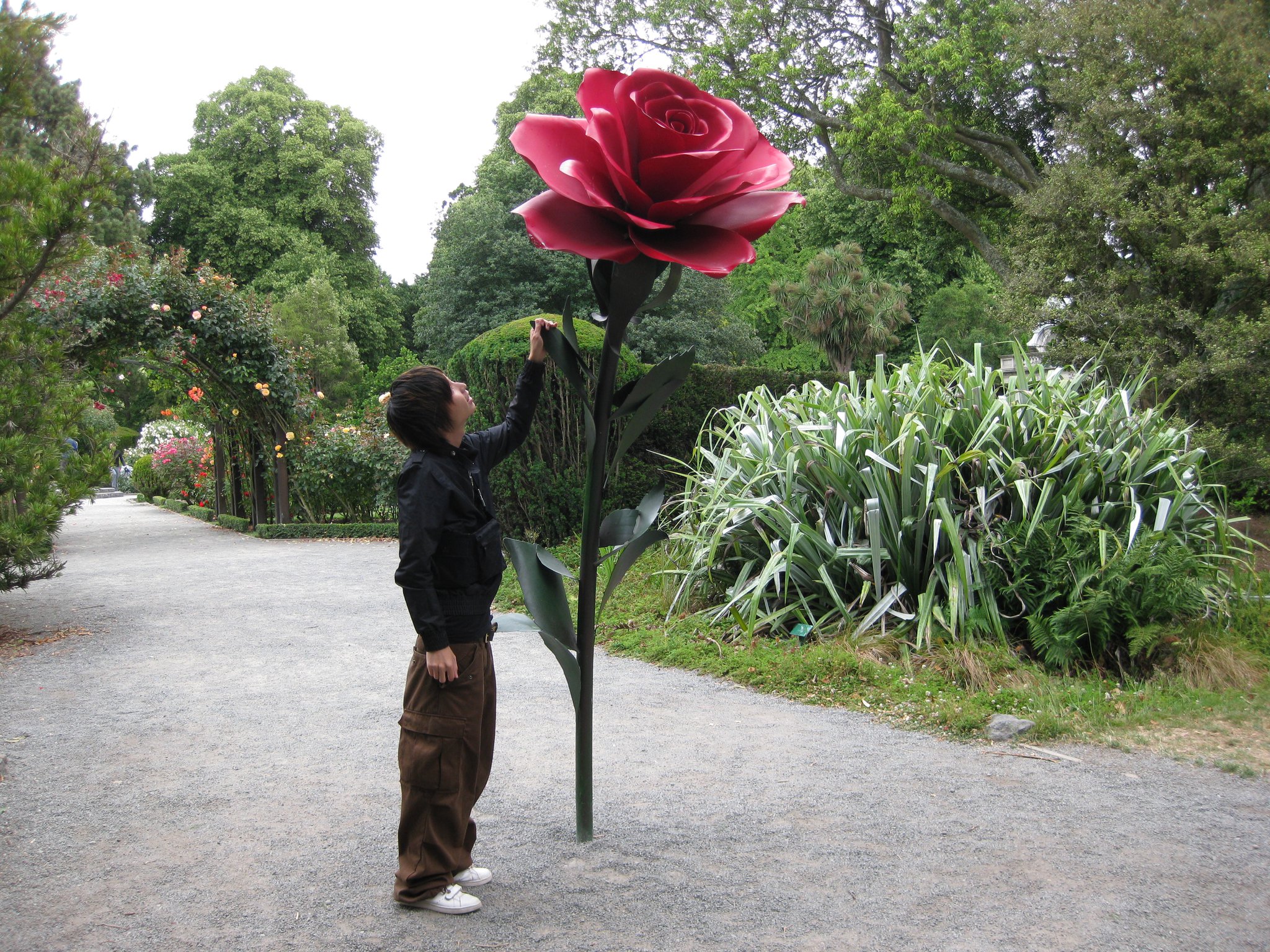【ここだけの話 NO９】🌳14年間の旅へ🌳