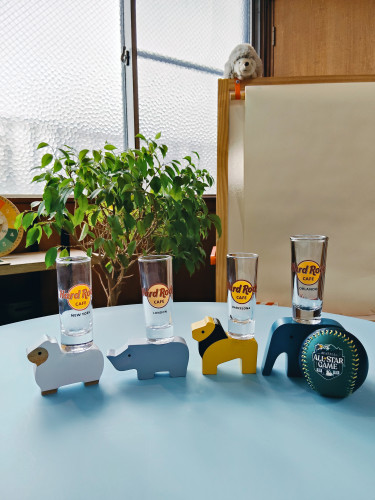 🌳大人×自分のペースで×長く、楽しく