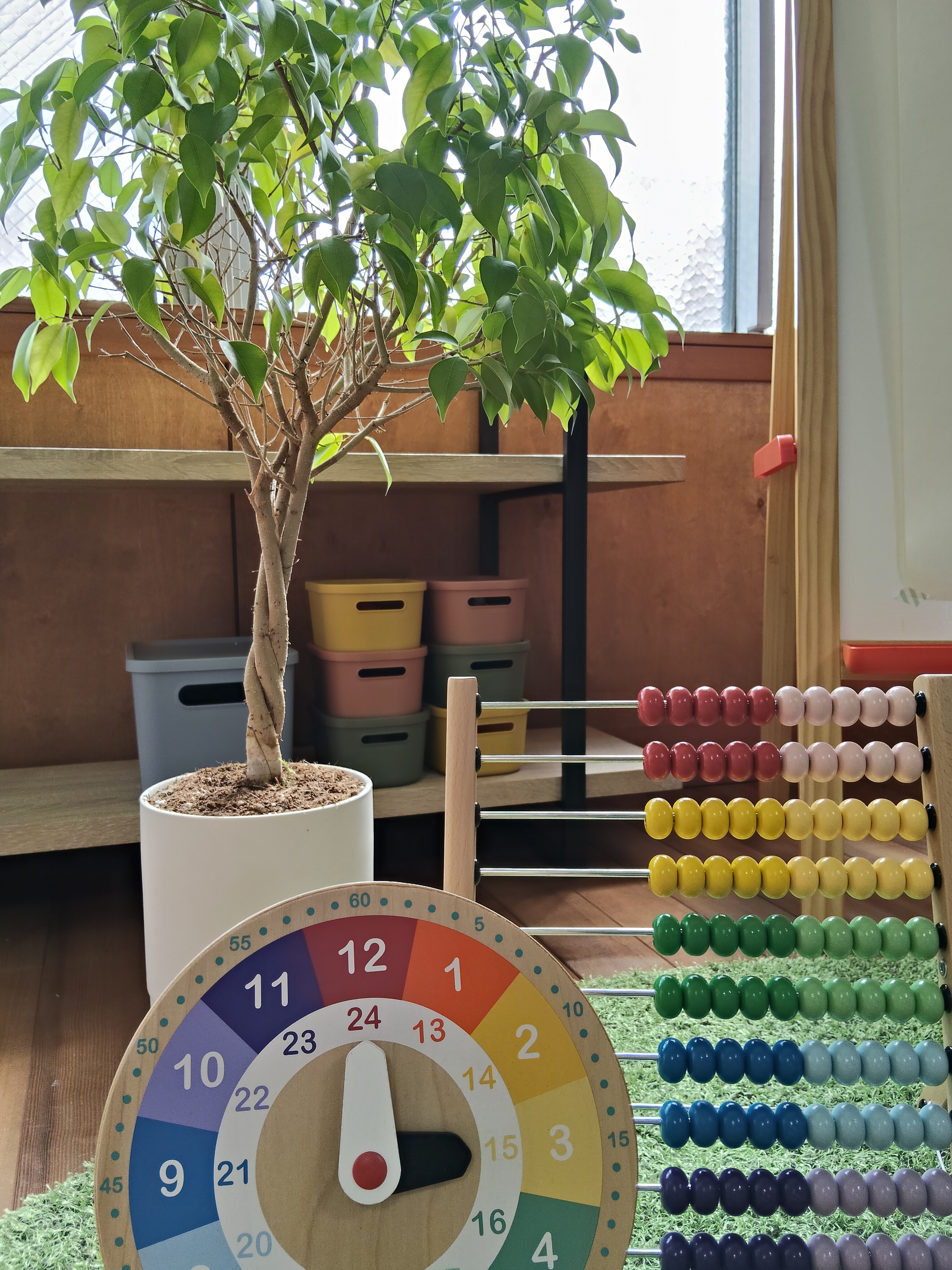 🌳みんなの’楽しい’グラデーション