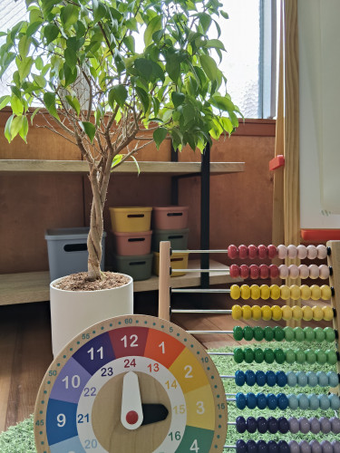 🌳みんなの’楽しい’グラデーション