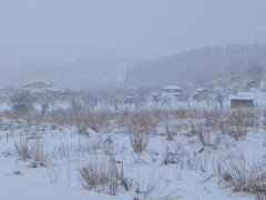 25年冬風景.jpg