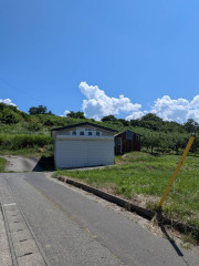 ２６年横手夏.jpg
