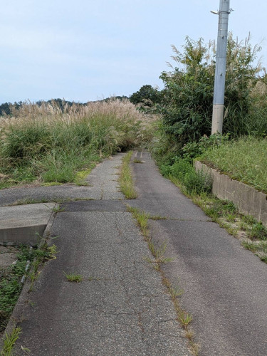 すすきの道路.jpg