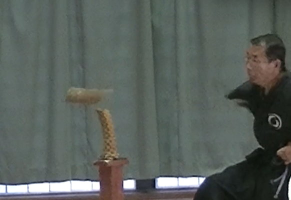 水月初太刀・抜付け試斬