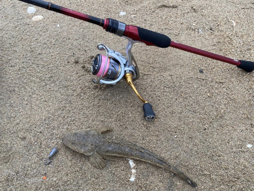 イメージ 12.jpeg