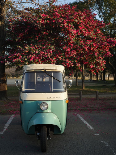 三輪車はお休みです