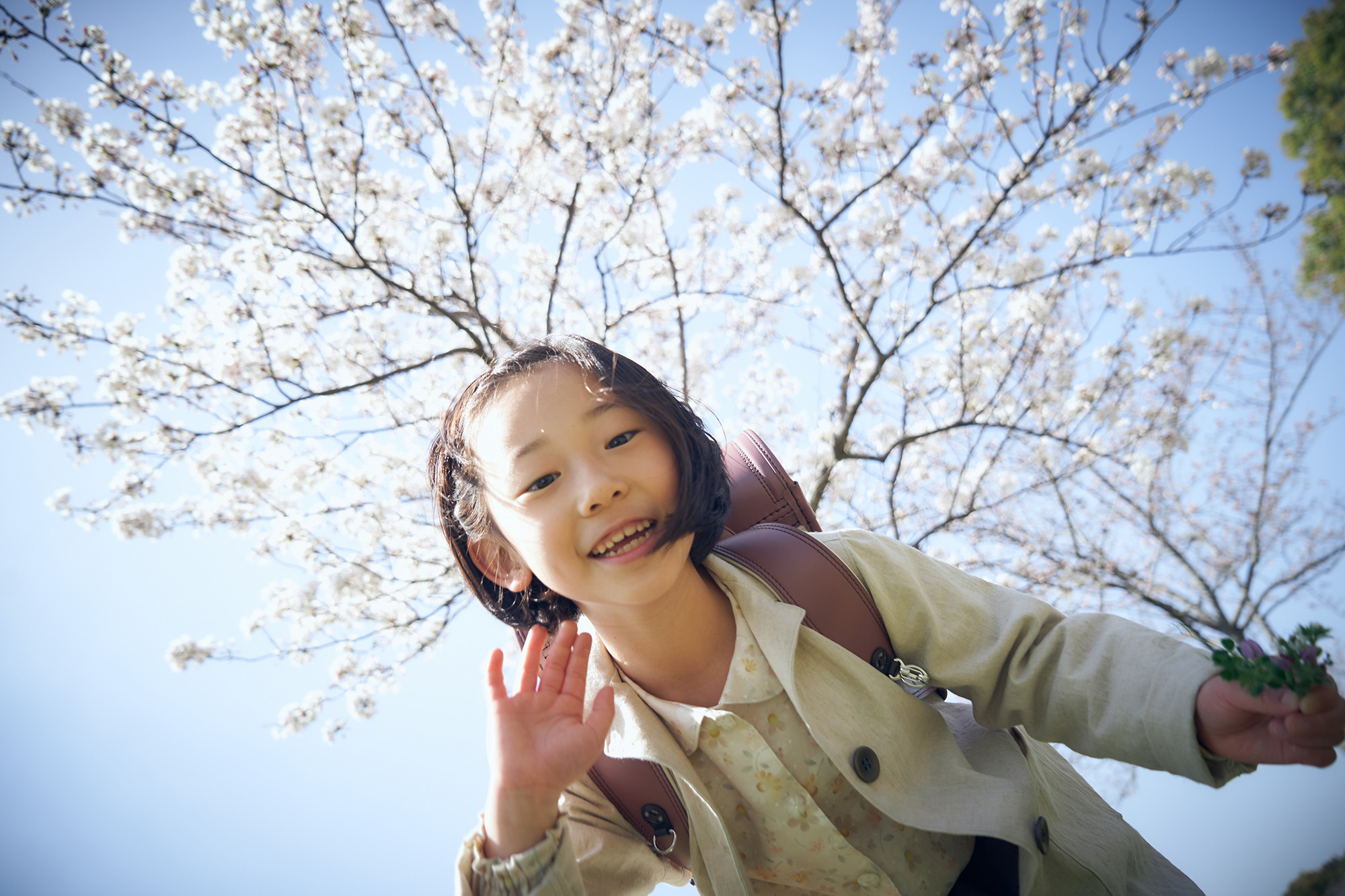 入学・卒業記念の撮影プランをご案内します