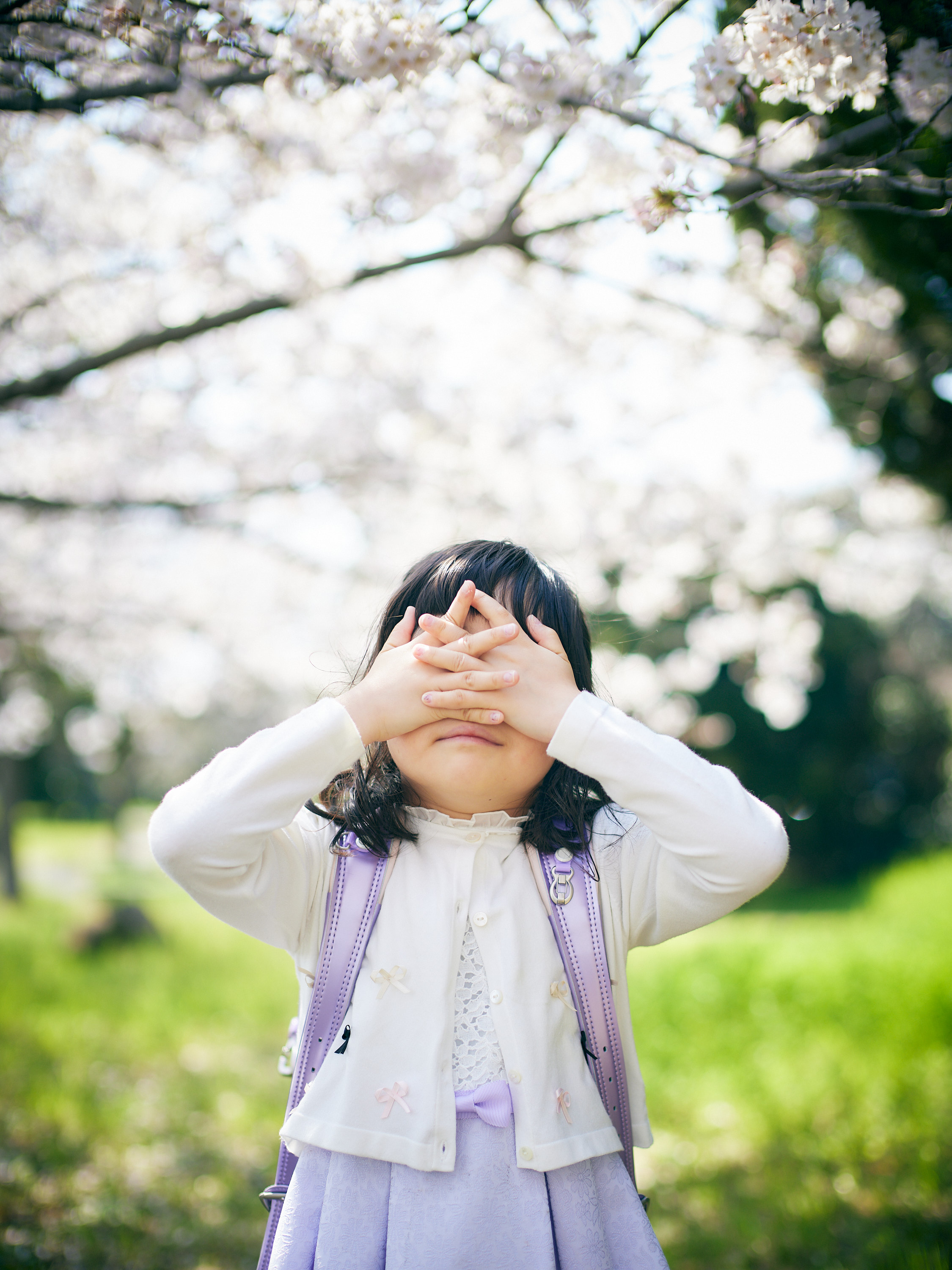 満開の桜とお客様の笑顔、最高の春をありがとうございます