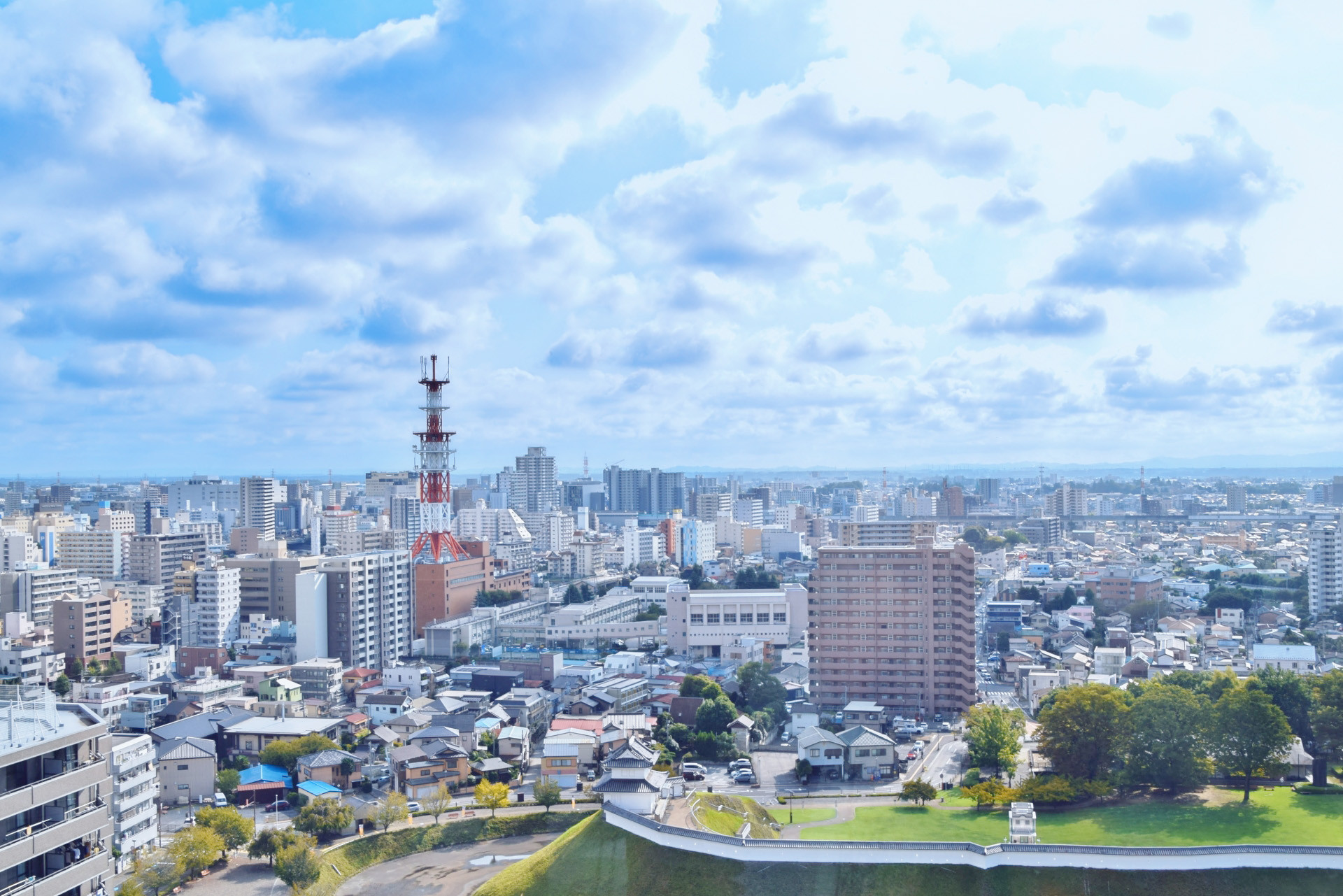 栃木で生まれ育った