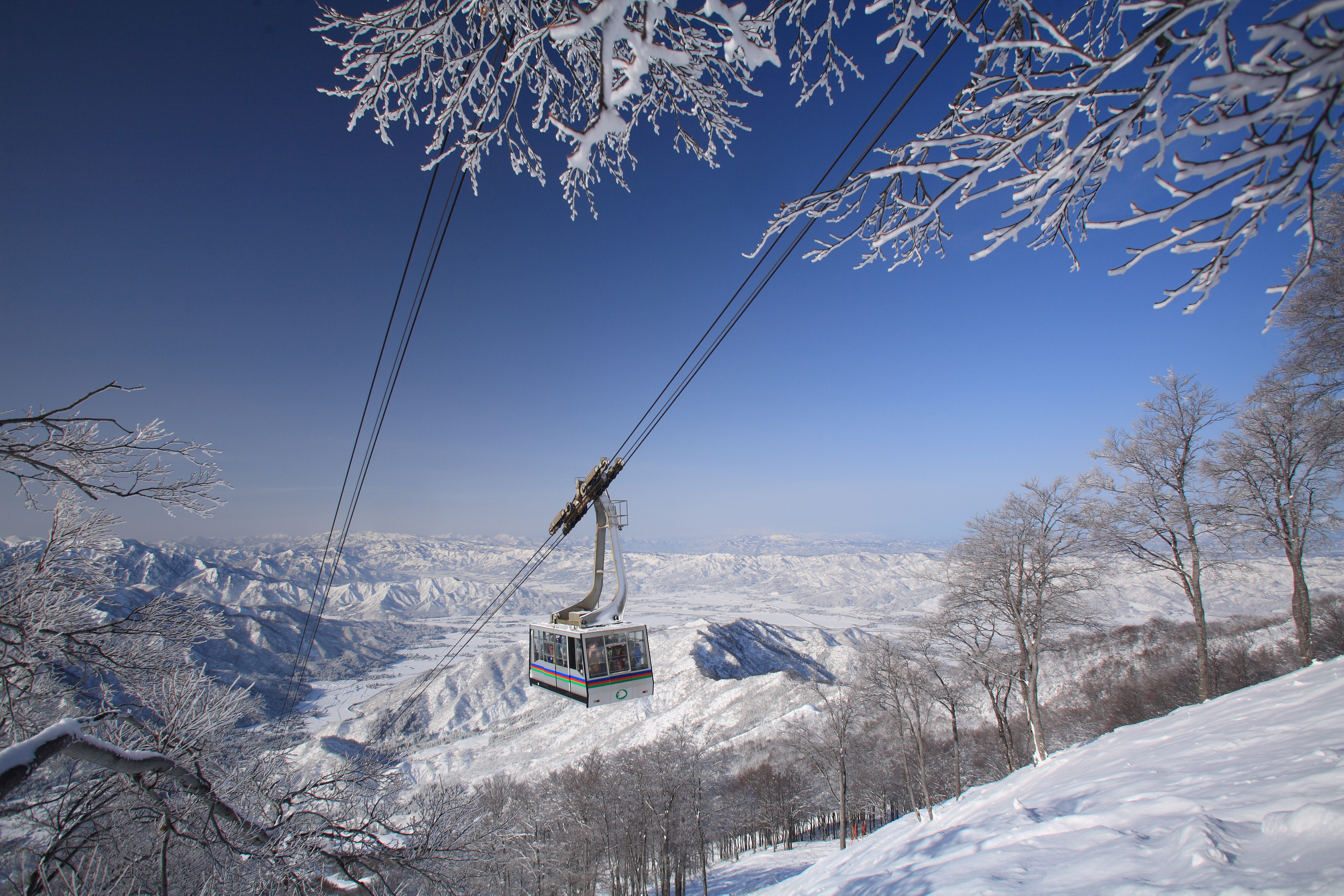 冬のおすすめ観光タクシー