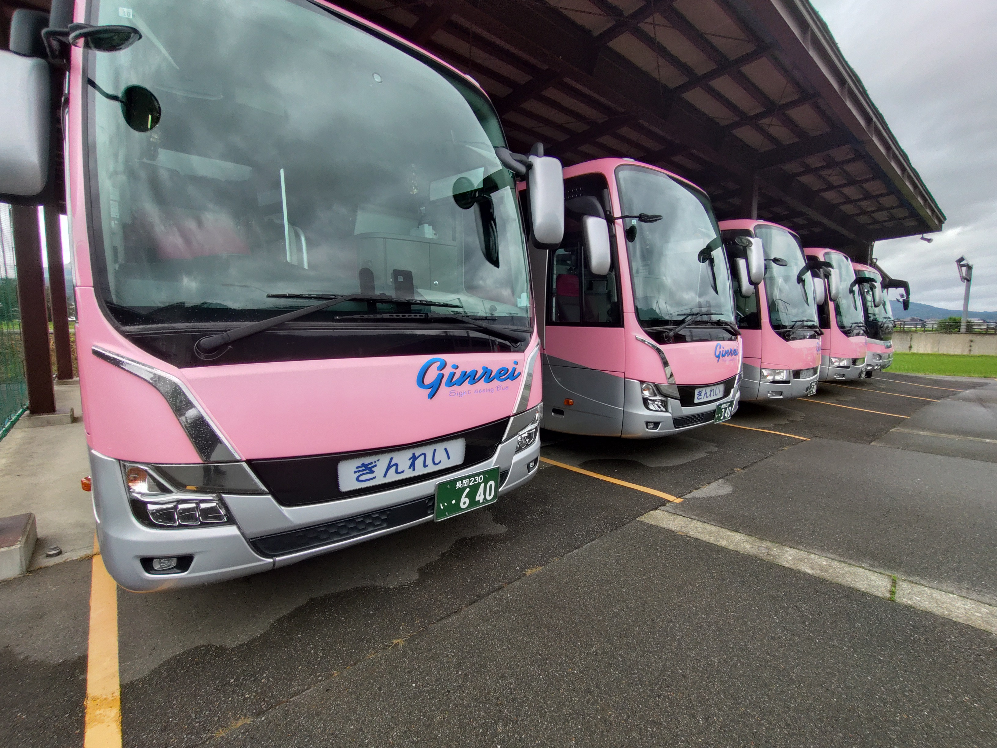 【南魚沼を走る「ピンクのバス」の運転手、募集中！】