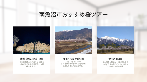 南魚沼市おすすめ桜ツアー.png