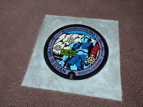 DSC_8737.JPG