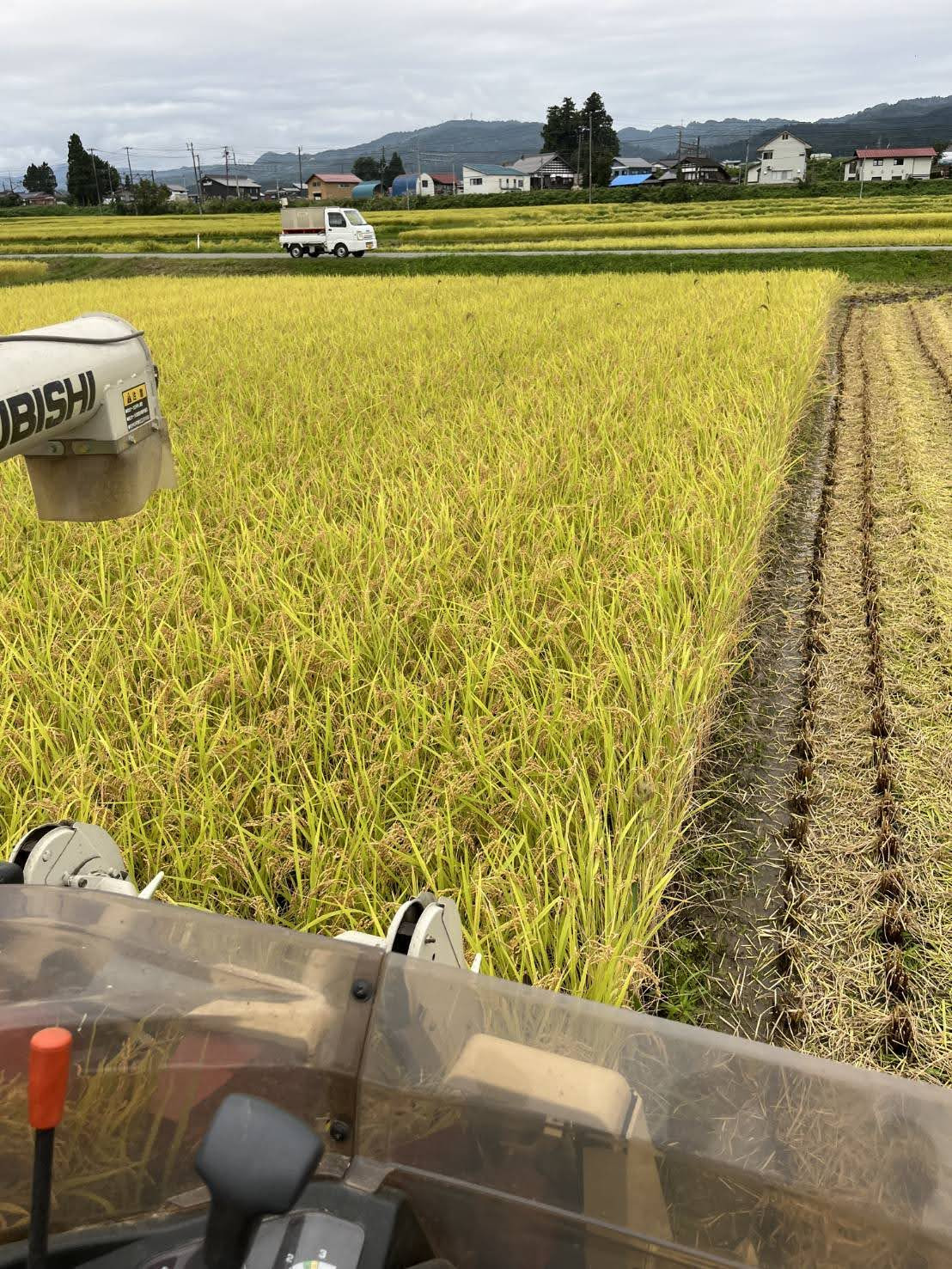 南魚沼産コシヒカリ2026、順調に生育中！収穫までレポートします。（vol.7）🌾