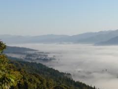 20241104_072616882.JPG