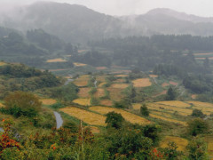 20260928_151539495.JPG