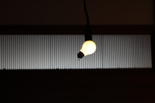 A64I7805.JPG