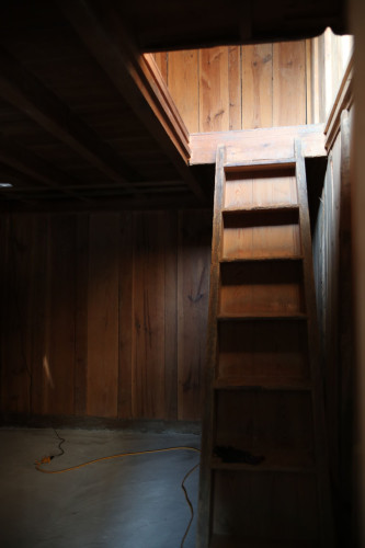 AE6I8100.JPG