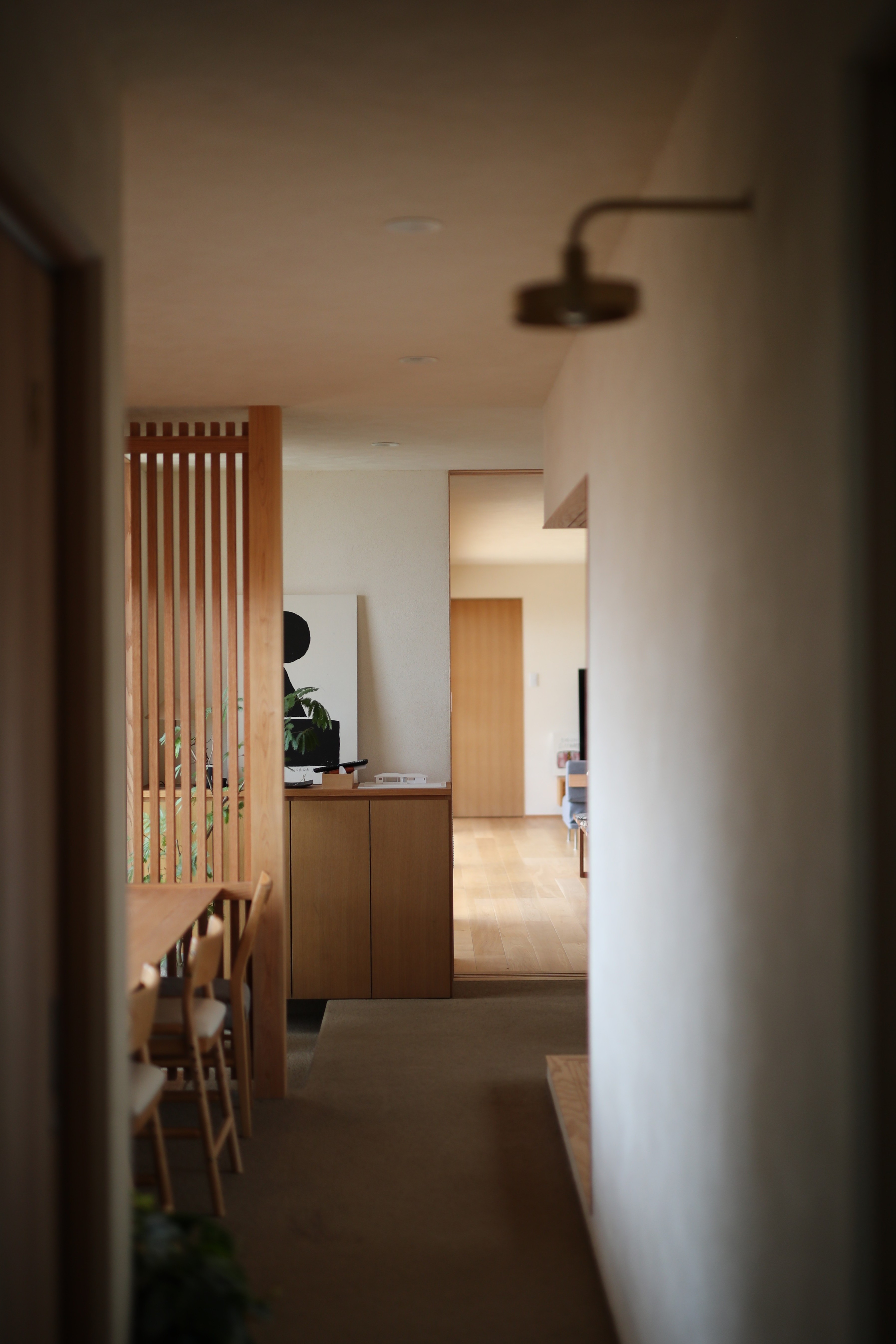 A47I5649 1.JPG