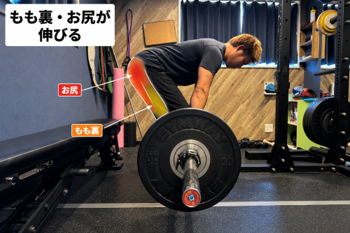 07D92E76-3AA4-42EF-A53F-279FD508AF89.png