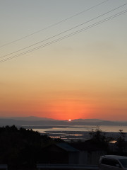 IMG_4009.jpeg