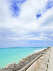 IMG_4645.jpeg