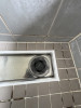 IMG_5589.jpeg