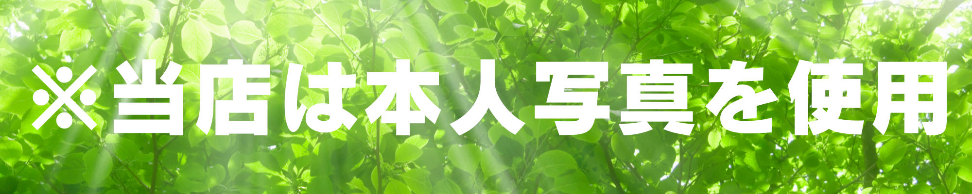 段落テキスト - 2025-09-27T133337.269.png