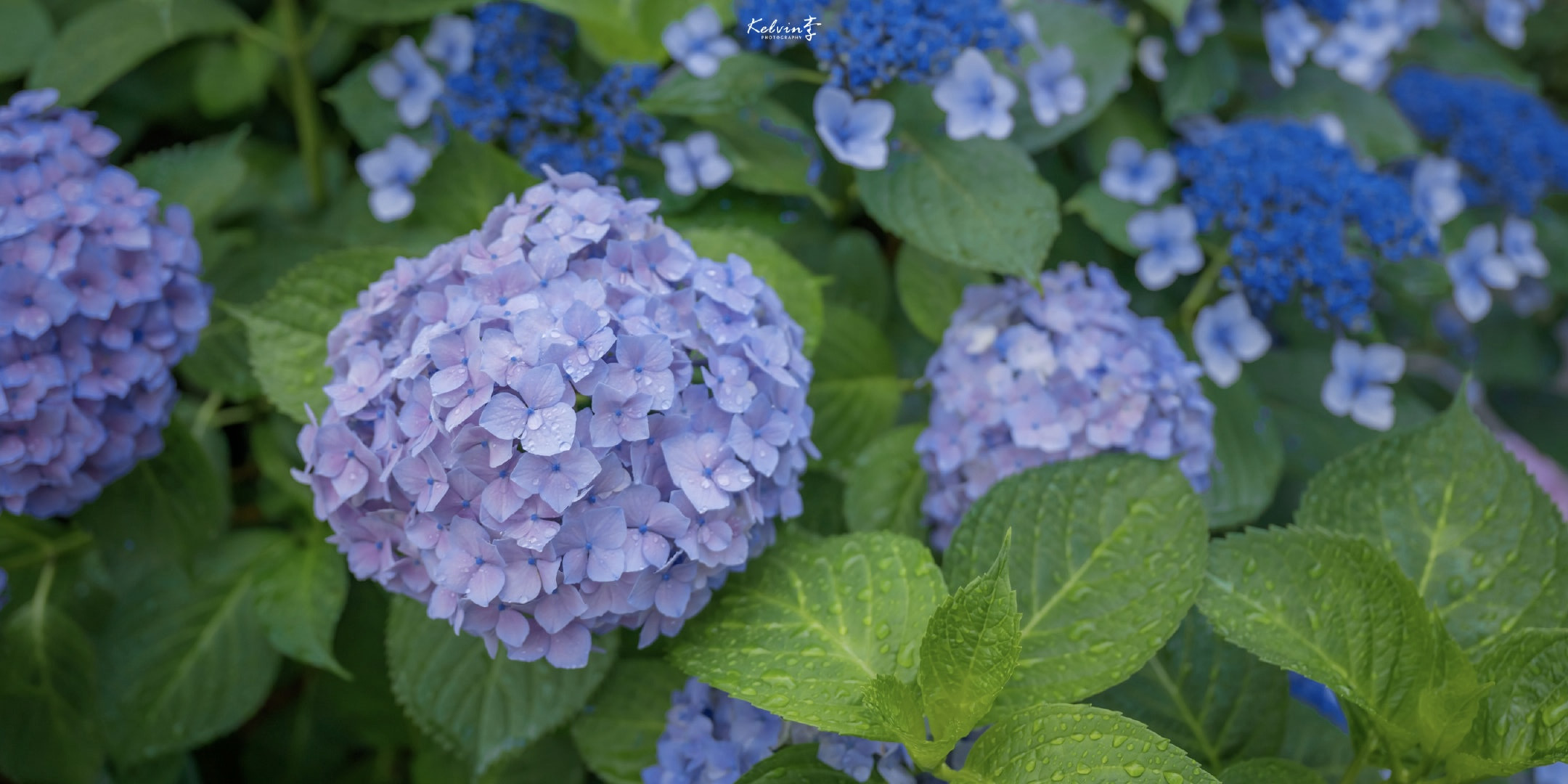 6月のご挨拶