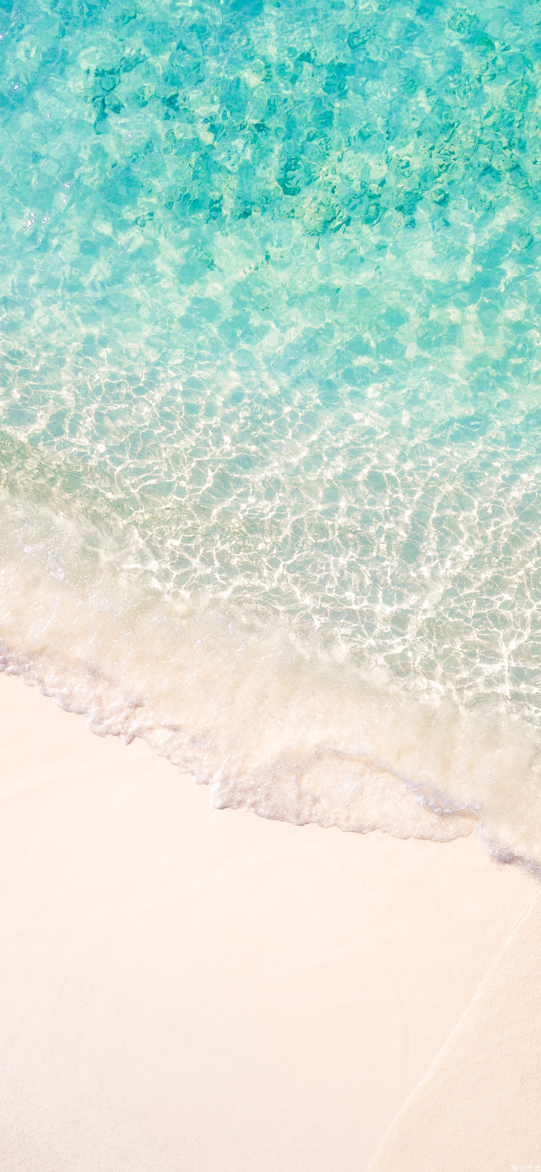  8月のご挨拶☀️