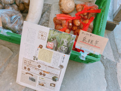 R5朝市10月2.jpg