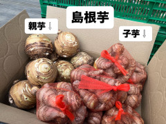 LINE_ALBUM_広報_260924_3.jpg
