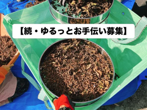 続・お手伝い募集.jpg
