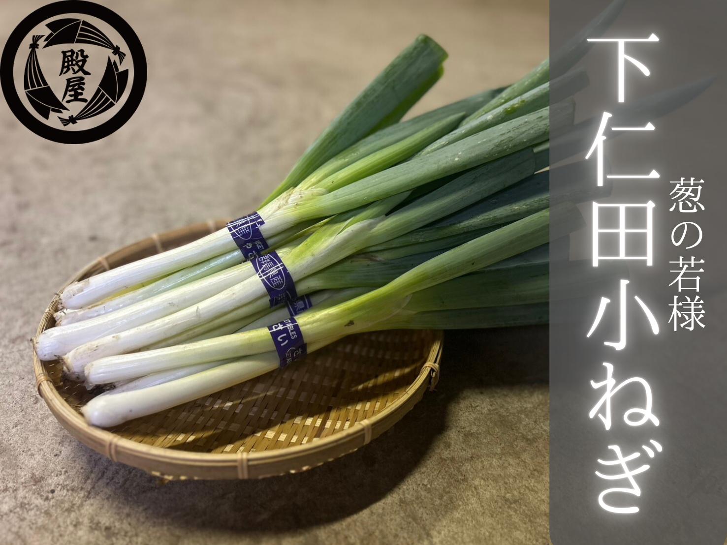 殿屋自慢の下仁田小ねぎ