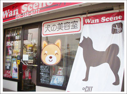 店舗１