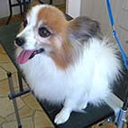 023img.jpg