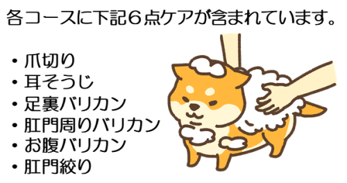 6点ケア説明.png